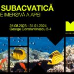 show_subacvatic_mina