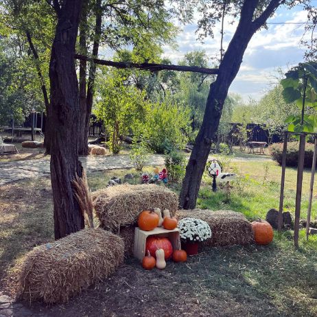 Gradina Rustica Locuri de Petreceri in Aer Liber pentru Copii langa Bucuresti