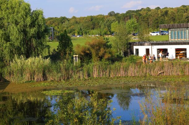 Lagoo Snagov lac 2 Locuri de Petreceri in Aer Liber pentru Copii Bucuresti