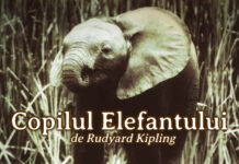copilul elefantului poveste de Rudyard Kipling