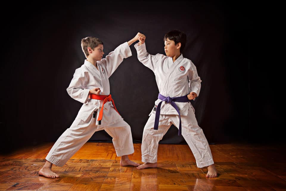 Daimon Sports & Spa cursuri karate