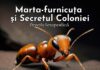 furnica marta furnicuta si secretul coloniei poveste terapeutica