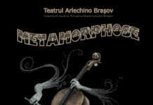 Metamorphose-teatrul arlechino