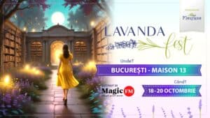 lavanda fest bucharest 2024