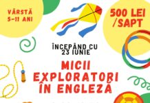 Scoala de Vara Taramul Magic Voi Reusi