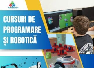 cursuri edubricks 2025