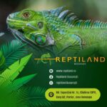 scoala altfel saptamana verde reptiland