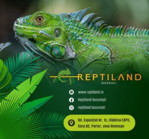 scoala altfel saptamana verde reptiland