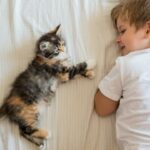 Beneficiile terapeutice ale pisicilor: ajutor în dezvoltarea emoțională și cognitivă a copiilor