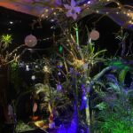 Pădurea lui Moș Crăciun la Reptiland București padurea lui mos craciun reptiland