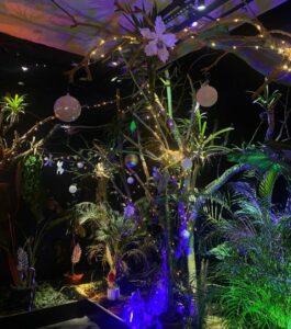 padurea lui mos craciun reptiland