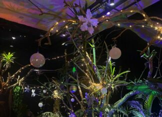 padurea lui mos craciun reptiland