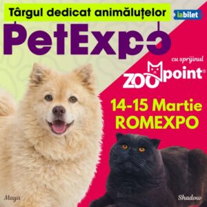 Banner 1080 x 1080 px PetExpo