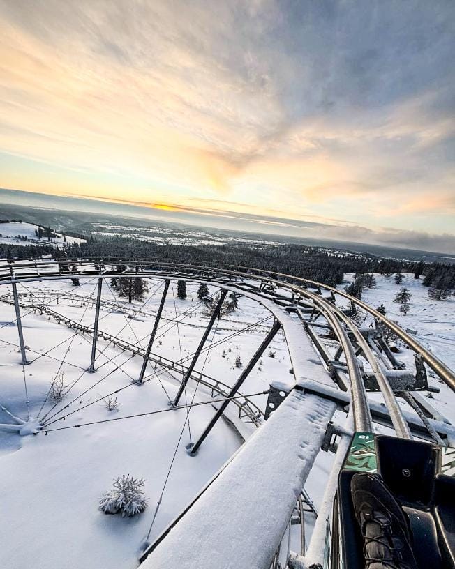 bobvarsag partie bob sanie de vara varsag 2