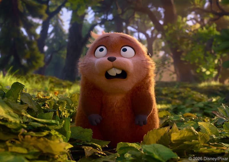 castor hopperi film cinema 5 martie