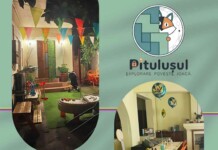 pitulusul loc de joaca petreceri