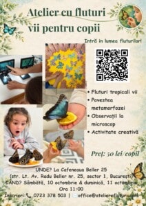 Afis online atelier flurturi vii