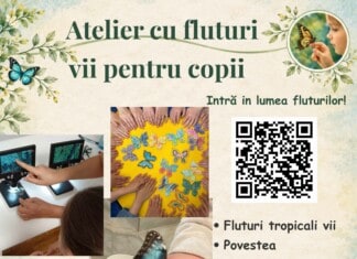 Ateliere cu Fluturi Vii – unde curiozitatea prinde aripi. Atelier pentru copii 4-10 ani