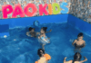 Pao Kids – Loc de Joacă și Petreceri cu Piscină Încălzită din Sectorul 2 gokid pao-kids-copii-piscina-gokid