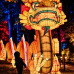 Child and Dragon Lantern Festival