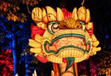 Child and Dragon Lantern Festival