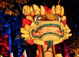 Child and Dragon Lantern Festival