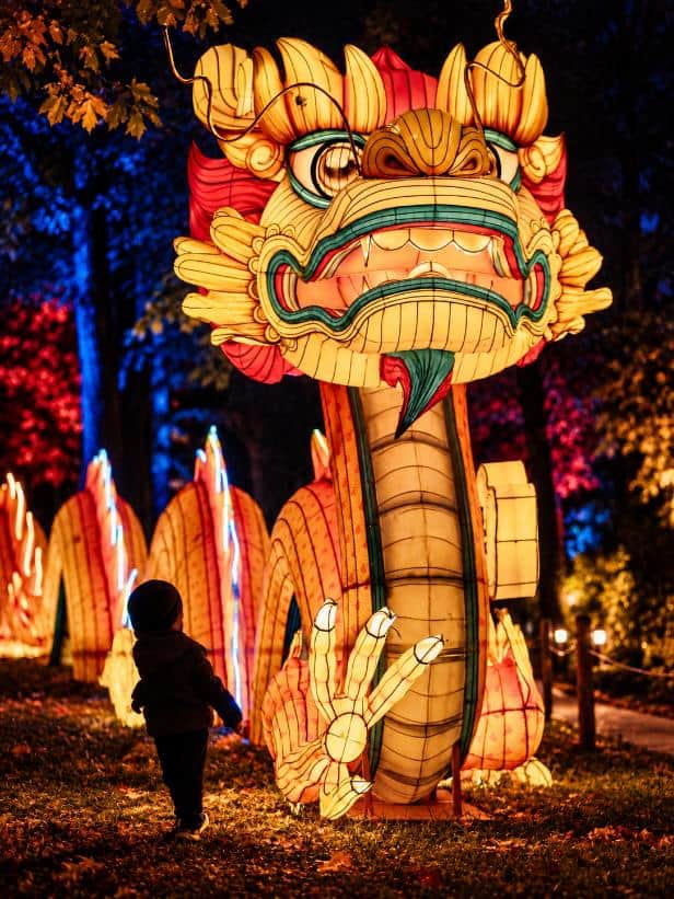 Child and Dragon Lantern Festival
