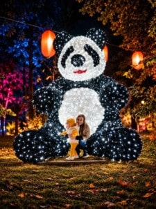 Illuminated Panda Lantern Festival Portrait