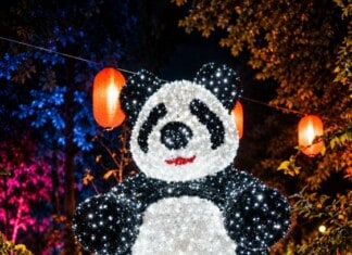 Lumina Park: Ocolul Pământului în București. Ce găsești la cel mai mare parc de lumini din România, la Grădina Botanică Illuminated Panda Lantern Festival Portrait