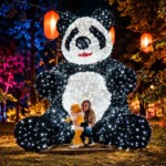 Illuminated Panda Lantern Festival Portrait