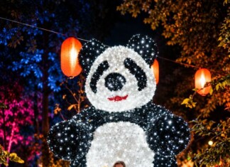 Lumina Park: Ocolul Pământului în București. Ce găsești la cel mai mare parc de lumini din România, la Grădina Botanică Illuminated Panda Lantern Festival Portrait