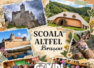 Școala Altfel Brașov 2026. Idei de activități pentru elevi: ciclul primar, gimnazial și liceal scoala altfel brasov