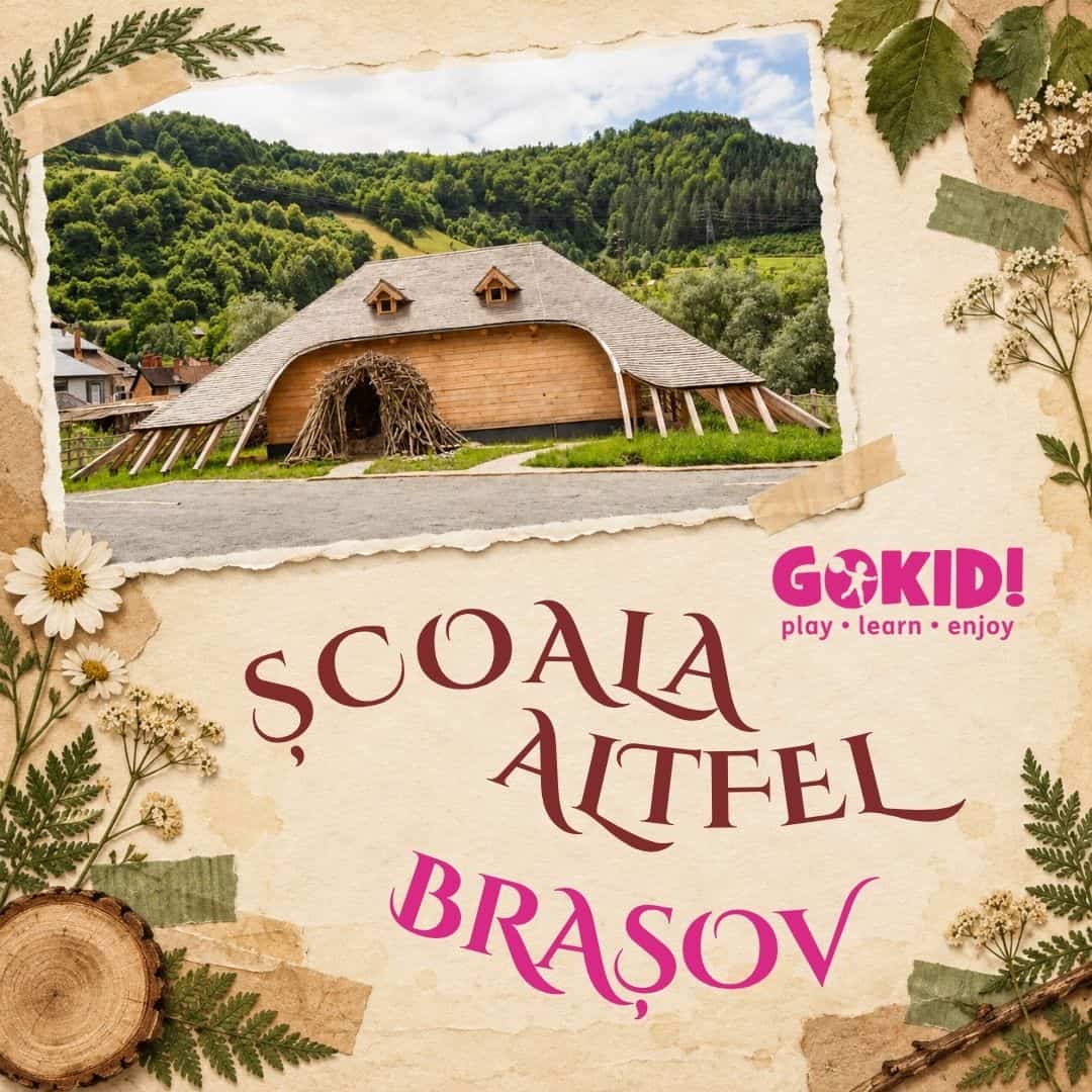 scoala altfel brasov casa castorului