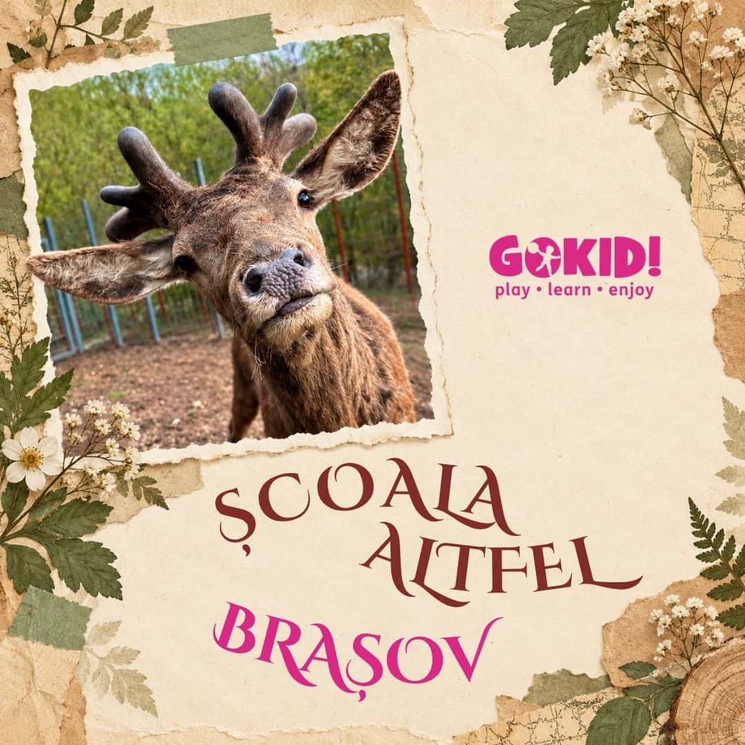 scoala altfel zoo brasov